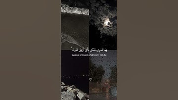 ما تيسر من سورة لقمان  || أرح قلبك واطب مسمعك 🎧 أكتب شيء تؤجر عليه 🌿
