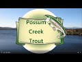 Possum creek trout