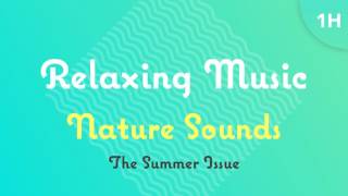 Relaxing Music Nature Sounds SUMMER ISSUE - 1 HOUR