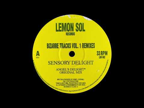 Bizarre Tracks — Bizarre Tracks - Sensory Delight (Angel's Delight Mix)