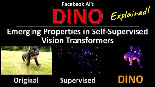 DINO: Emerging Properties in Self-Supervised Vision Transformers (Facebook AI Research Explained) screenshot 5