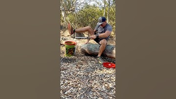 Rattlesnake close encounter 🐍 #jump #snake #youtube