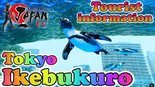 🔴[Tokyo Ikebukuro] Tourist information - [東京 池袋] 観光案内 Google maps street view