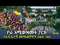 Ref:h3jNTHaf3ug   bora amusement park new look |                      