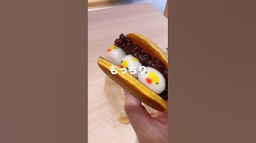 清水寺周辺食べ歩きを正直レビュー！#京都食べ歩き