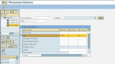 SAP HR Configuration Preview 5.avi
