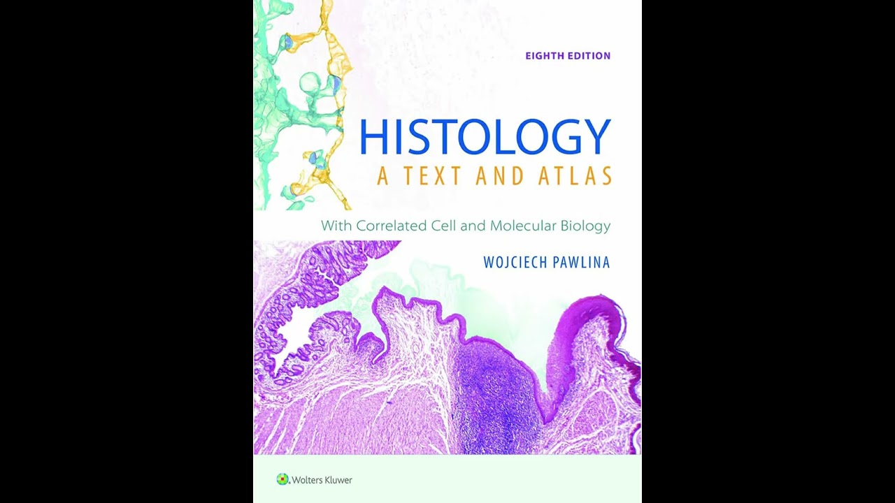 Histology: A Text and Atlas 第8版 516bv3rFWsL.jpg_BO30,255,255,