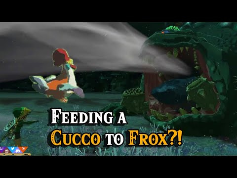 Feeding a Cucco to a Frox?! in Zelda Tears of the Kingdom