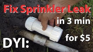 DIY How to fix Sprinkler Leak in 3 min for $5