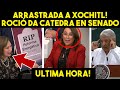 ACABO CON TODOS! NAHLE DEJÓ SIN PALABRAS A OPOSICION. VA CON TODO REFORMA DE AMLO. YA HAY FECHA!