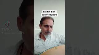 dalımın inciri dedim nacizane. Resimi