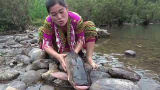 Primitive life - Solo bushcraft catch big fish - Hand fishing catch big fish