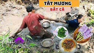 Cùng Cha Tát Ao Bắt Cá Đồng Quá Vui | Bữa Cơm Chiều Miền Tây Dân Dã KBMT #mientay