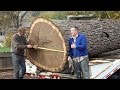 Pacific Coast Lumber-Giant Walnut Tree removal Pacific Coast Lumber With Bill Swanson