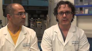 Why Do Celebrities Get Bad Plastic Surgeries?