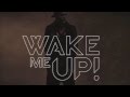 Avicii - Wake Me Up w/Lyrics