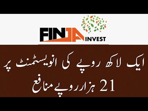Finja Invest High Profit on Investment in Finja Investment Company