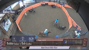 Big Sky Ranch Sorting Saddle Series #3 - #7 Sort - Round #2 - Ride #3