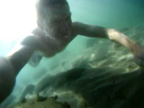 Free diving on Elba island Italy