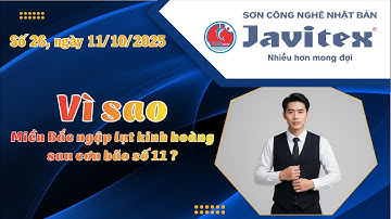 Vì sao miền Bắc ngập lụt kinh hoàng sau bão số 11? Sự thật khiến ai cũng bất ngờ!