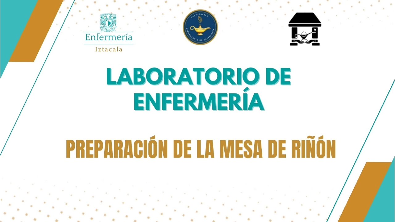 Preparación de la mesa de riñón I FES IZTACALA UNAM I Laboratorio de