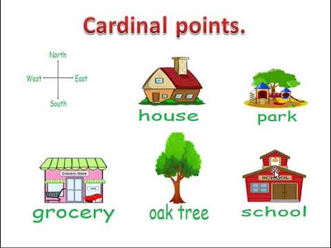 Video: What Natural Signs Can Be Used To Determine The Cardinal Points