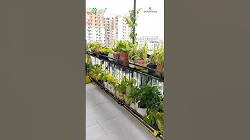 🪴Bạn muốn trồng cây xanh ở ban công? XEM NGAY VIDEO NÀY SẼ CHO BẠN GỢI Ý NHÉ! #caycanh #trongcay