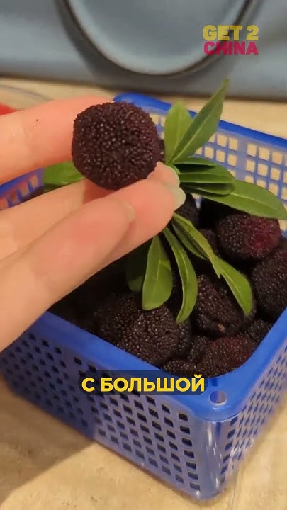 Китайские фрукты и овощи #shorts #travelblogger #китай - YouTube