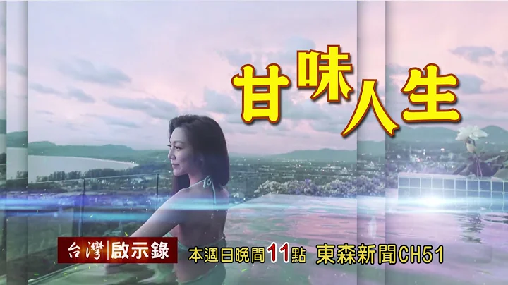 台湾启示录 全集20160814 -“本土剧女神曾菀婷，美丽坏女人之八点档人生！” - 天天要闻