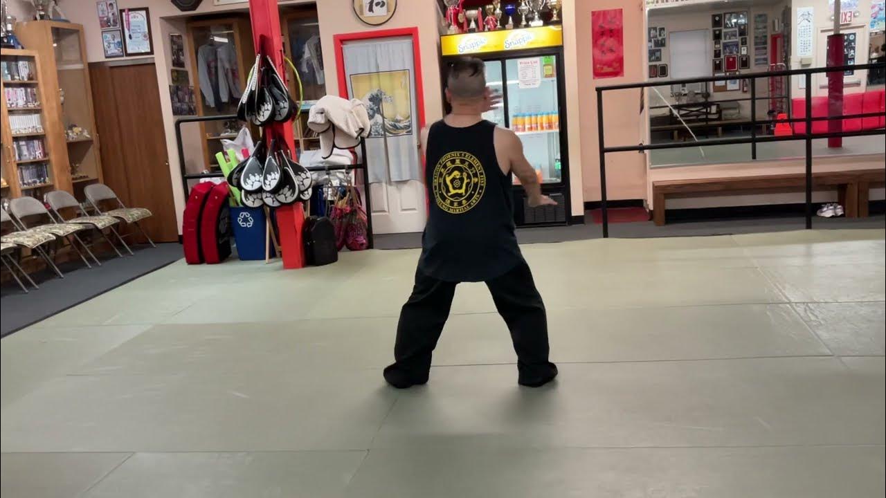 24 Form Tai Chi Demonstration Back View (Video # 128) 24 Posture Tai Chi Demo (no audio): Back view of the 24