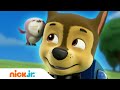 PAW Patrol | Zadania edukacyjne — część 2 | Nick Jr.