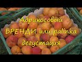 Абрикосовый бренди или pàlinka. Дегустация.