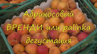видео: Абрикосовый бренди или pàlinka. Дегустация. картинка: Абрикосовый бренди или pàlinka. Дегустация.