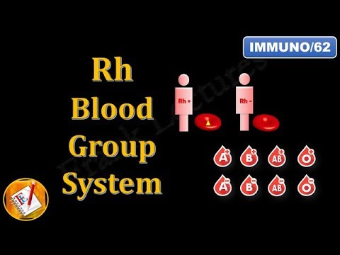 Video: Tell Me Your Blood Type And I Will Tell You Who You Are - Alternative View