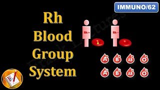 Rh Blood Group System (FL-Immuno/62)
