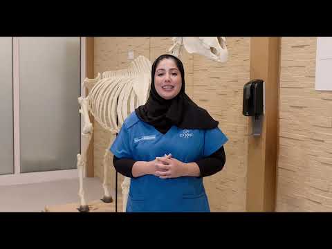  مهنتي – مستقبلي