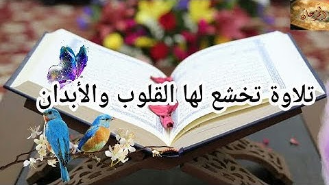 تلاوة تخشع لها القلوب واﻷبدان ❤ سبحان من رزقه هذا الصوت