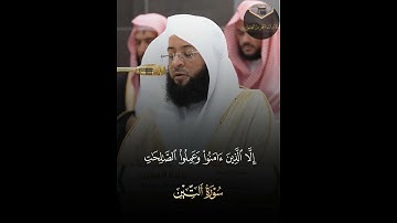 { سورة التين } | فضيلة الشيخ بدر التركي