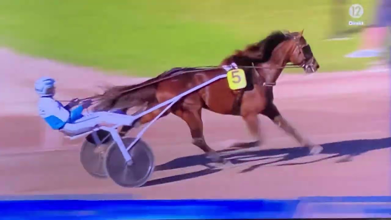 V75 Jägersro Svenskt Travderby 2022 Francesko Zet