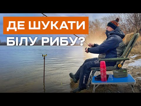 Finding white fish in winter: tips and life hacks from personal experience. Feeder fishing