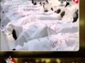 خداع الاخوان الاموات يتحدثون ويضحكون داخل الاكفان 