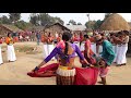 Tharu folk dance  maghauta nach  tharu maghauta song  guruprasad kumal bulbul