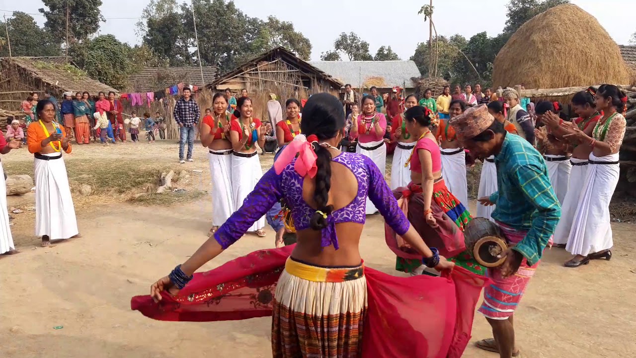 Tharu folk Dance  Maghauta Nach  Tharu Maghauta song  Guruprasad Kumal Bulbul