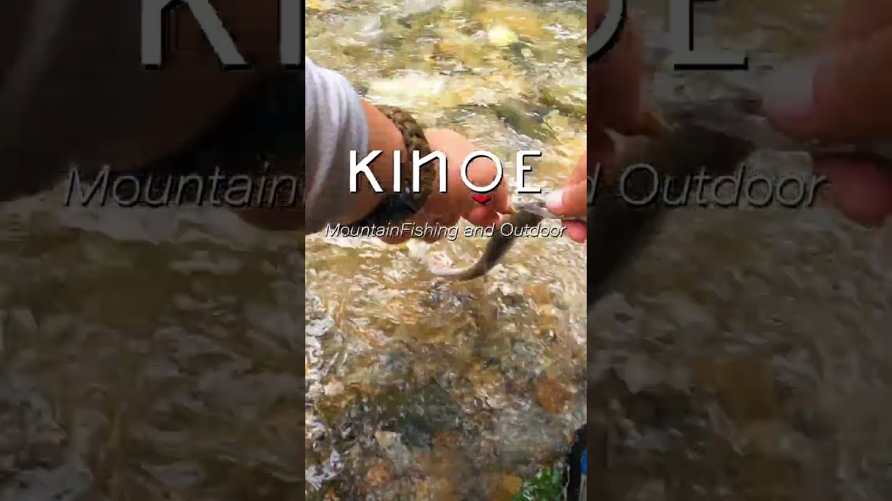 Torrentguide50 | KINOE