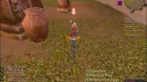 Joana killing Zalazane in Vanilla 1-60 WoW