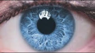 top 10 blue eye facts