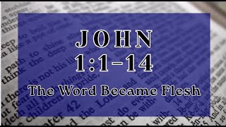 John1:1-14 The Word Became Flesh (ESV) Scripture Read Aloud  Verse by Verse Female Voice Audio Bible