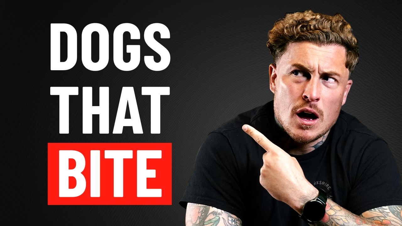 I’ve Trained Thousands of Dogs - These 3 Bit Me the Most thumbnail