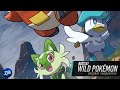 Battle! Wild Pokémon ► Original Composition