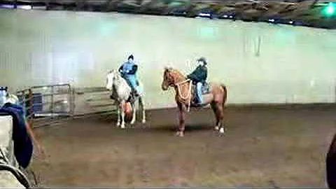 Natural Horsemanship Group Lesson - Jennifer Vaught